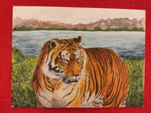 Load image into Gallery viewer, Hand Painted Tiger Animal Miniature Painting India Art Nature on Synthetic Ivory - ArtUdaipur
