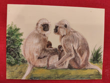 Load image into Gallery viewer, Hand Painted Langur Monkey Animal Miniature Painting India Art WildLife - ArtUdaipur
