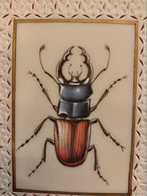 Load image into Gallery viewer, Hand Painted Insect Miniature Painting India Art Nature Synthetic Ivory - ArtUdaipur