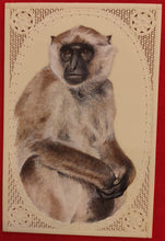Load image into Gallery viewer, Hand Painted Monkey Animal Miniature Painting India Art Nature Synthetic Ivory - ArtUdaipur