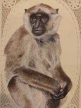 Load image into Gallery viewer, Hand Painted Monkey Animal Miniature Painting India Art Nature Synthetic Ivory - ArtUdaipur