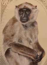 Load image into Gallery viewer, Hand Painted Monkey Animal Miniature Painting India Art Nature Synthetic Ivory - ArtUdaipur
