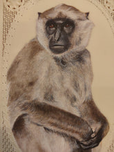 Load image into Gallery viewer, Hand Painted Monkey Animal Miniature Painting India Art Nature Synthetic Ivory - ArtUdaipur