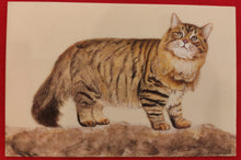 Load image into Gallery viewer, Cat art on artificial ivory