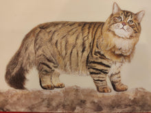 Load image into Gallery viewer, Udaipur Rajasthan Paintings