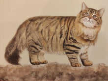 Load image into Gallery viewer, Cat Painting Artwork