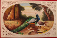 Load image into Gallery viewer, Hand Painted Peacock Bird Animal Miniature Painting India Art Wild - ArtUdaipur
