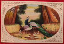Load image into Gallery viewer, Hand Painted Peacock Bird Animal Miniature Painting India Art Wild - ArtUdaipur