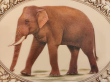Load image into Gallery viewer, Hand Painted Elephant Horse Camel Miniature Painting India Art Carved - ArtUdaipur