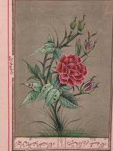 Load image into Gallery viewer, Beautiful Rose on Paper Best Art Collection and Home Decor Paper - ArtUdaipur