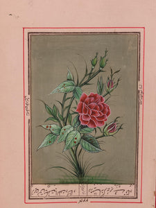 Beautiful Rose on Paper Best Art Collection and Home Decor Paper - ArtUdaipur
