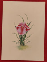 Load image into Gallery viewer, Beautiful Rose Flower For Loved Ones Miniature Painting Art - ArtUdaipur