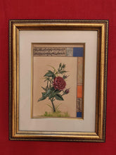 Load image into Gallery viewer, Flower Painting Framed For Home,Painting For Living Room For Bed Room - ArtUdaipur