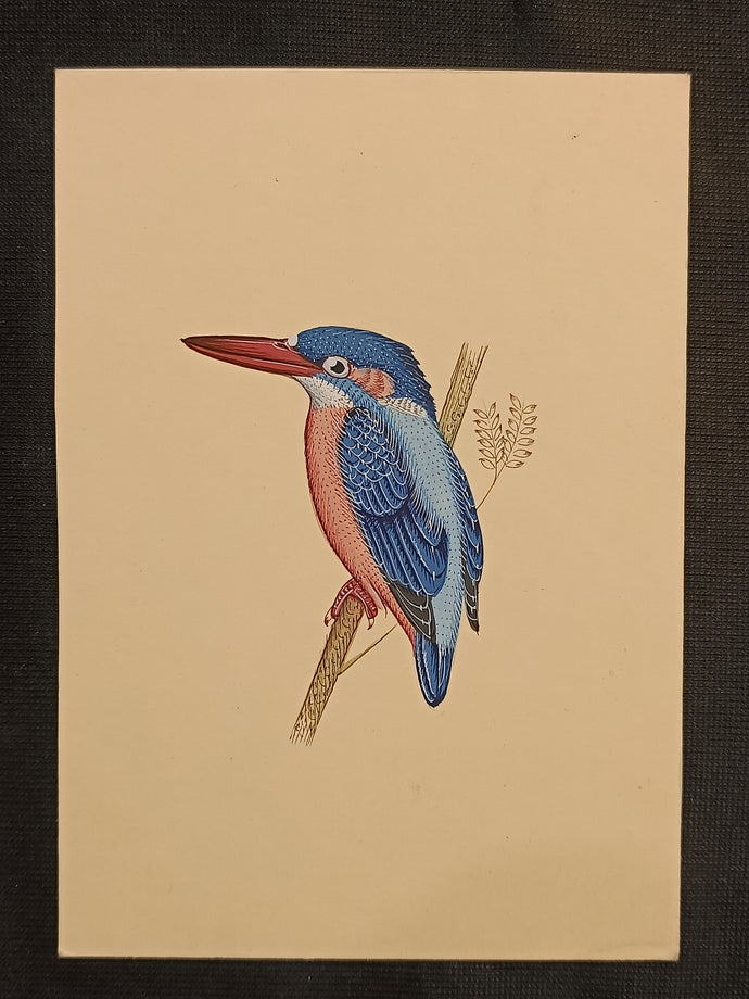 Kingfisher Bird Painting 