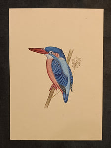 Painting of Bird