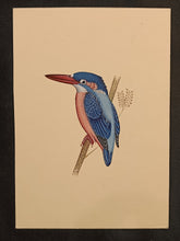 Load image into Gallery viewer, Paradise Bird Painting