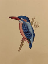 Load image into Gallery viewer, Indian Miniature Paintings