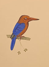Load image into Gallery viewer, Colourful Bird Painting