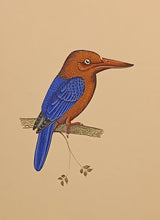 Load image into Gallery viewer, Nature Wild life Painting