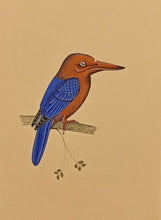 Load image into Gallery viewer, Bird gift Painting
