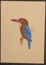 Load image into Gallery viewer, KingFisher Bird