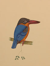 Load image into Gallery viewer, Hand Painted Blue Orange KingFisher Bird Indian Miniature Painting Art