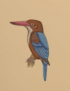 Kingfisher Bird Artwork 