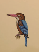 Load image into Gallery viewer, Real Kingfisher indian Miniature Paintings