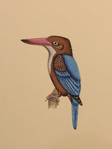 Kingfisher bird painting on paper