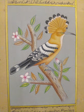Load image into Gallery viewer, Hand Painted Hoopoe Bird Birds Miniature Painting India - ArtUdaipur