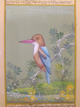 Load image into Gallery viewer, KingFisher Bird Art Paper Collection