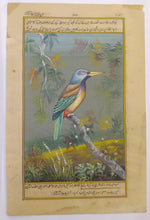 Load image into Gallery viewer, KingFisher Bird Art Collection