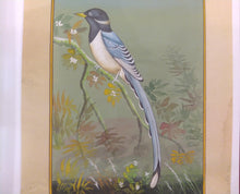 Load image into Gallery viewer, Bird Collection on Paper