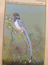 Load image into Gallery viewer, Animal Safety Welfare Artworks