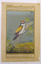 Load image into Gallery viewer, Hand Painted Sparrow Fine Bird Miniature Painting India Art on Paper - ArtUdaipur