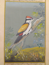 Load image into Gallery viewer, Hand Painted Sparrow Fine Bird Miniature Painting India Art on Paper - ArtUdaipur