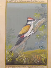 Load image into Gallery viewer, Hand Painted Sparrow Fine Bird Miniature Painting India Art on Paper - ArtUdaipur