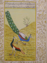 Load image into Gallery viewer, Peaock Bird Art Collection