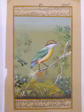 Load image into Gallery viewer, Birds of Paradise Flower-Plants