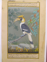 Load image into Gallery viewer, Great Hornbill Indian SubContinent on Paper Art Collection Painting - ArtUdaipur