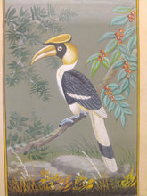 Load image into Gallery viewer, Great Hornbill Indian SubContinent on Paper Art Collection Painting - ArtUdaipur