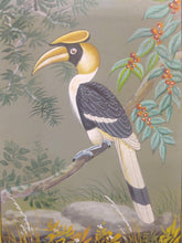 Load image into Gallery viewer, Great Hornbill Indian SubContinent on Paper Art Collection Painting - ArtUdaipur