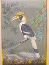 Load image into Gallery viewer, Great Hornbill Indian SubContinent on Paper Art Collection Painting - ArtUdaipur