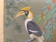Load image into Gallery viewer, Great Hornbill Indian SubContinent on Paper Art Collection Painting - ArtUdaipur
