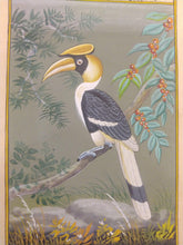 Load image into Gallery viewer, Great Hornbill Indian SubContinent on Paper Art Collection Painting - ArtUdaipur
