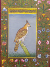 Load image into Gallery viewer, Courage Eagle Bird on Paper Indian Miniature Painting - ArtUdaipur