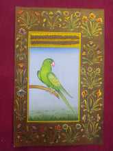 Load image into Gallery viewer, Baby Parrot Painting