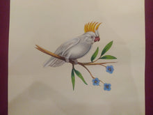 Load image into Gallery viewer, Beautiful White Baby Bird Painting on Paper - ArtUdaipur