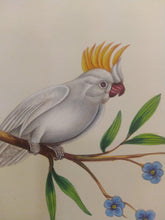 Load image into Gallery viewer, Beautiful White Baby Bird Painting on Paper - ArtUdaipur