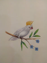 Load image into Gallery viewer, Beautiful White Baby Bird Painting on Paper - ArtUdaipur